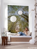 transform any wall into an exciting work of art with a wallpaper mural